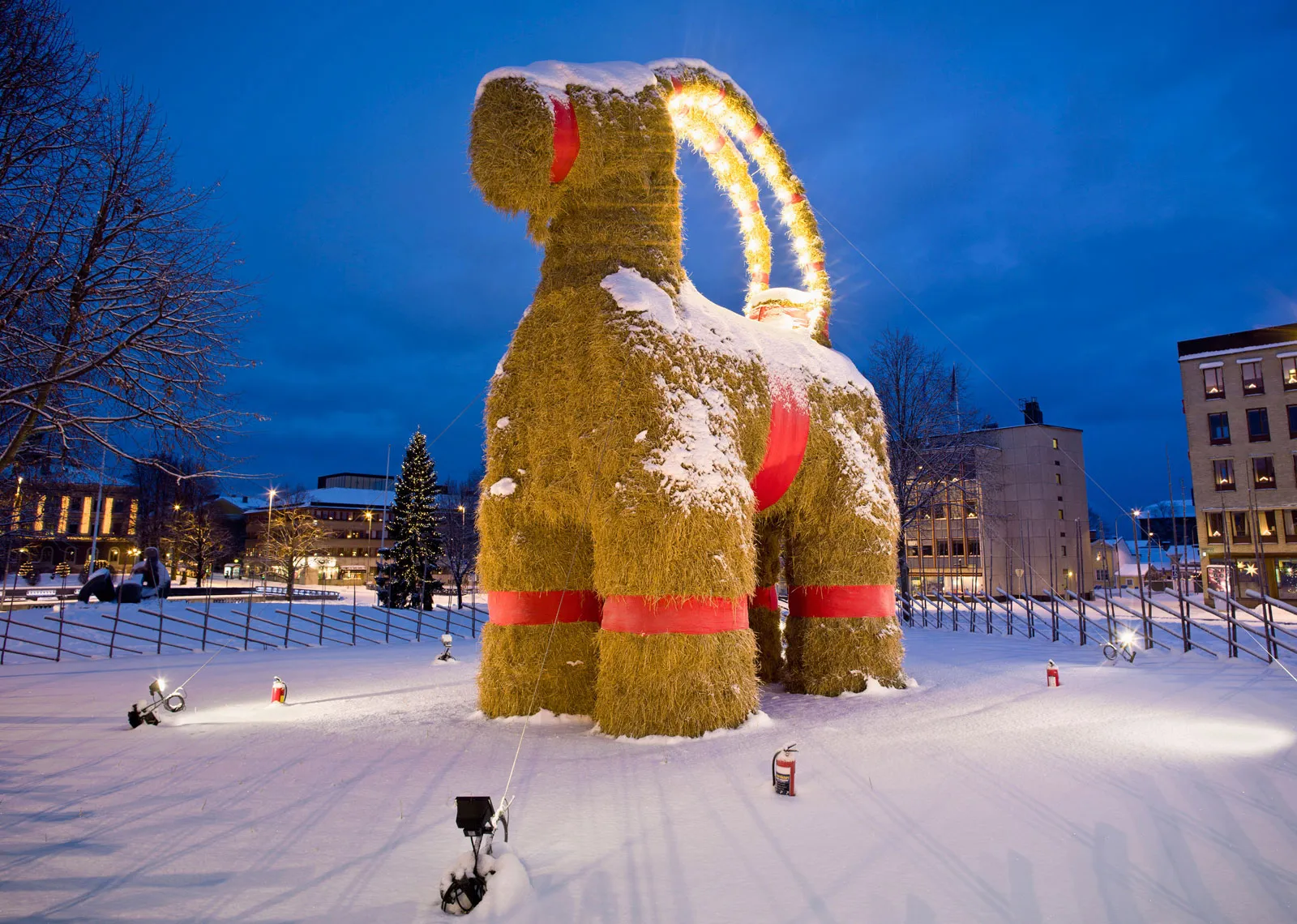 yule goat