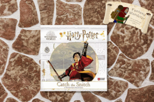 Harry Potter Catch the Snitch